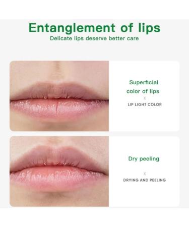 Avocado Lip Balm with Vitamin E | Moisturizing & Nourishing | Reduce Fine Lines | Long-Lasting Protection - Buy Online on GoSupps.com