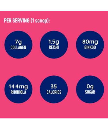 LEANFIT COLLAGEN & BRAIN Raspberry - 7g Collagen + Reishi + Ginkgo + Rhodiola - Enhances Memory & Cognitive Function in Adults - 25 Servings 245g tub - Buy Online on GoSupps.com