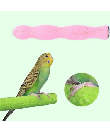 POPETPOP 20CM Bird Perch Parrot Stand Parakeet Natural Wood Rough Sand Perches Grinding Nail for Small Medium Large Birds African Grey Cockatoo Parakeet (Random Color) - Buy Online on GoSupps.com