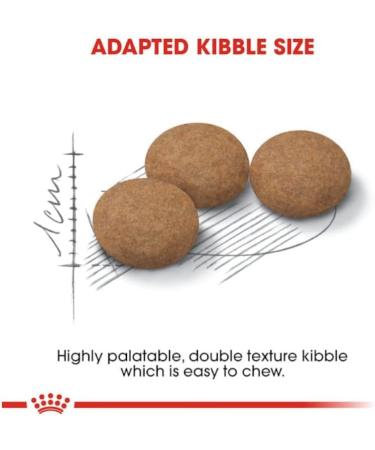 Royal Canin Ageing Sterilised 12+ Complete Dry Cat Food 4 x 400g - Buy Online on GoSupps.com