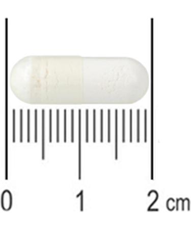 Pure Hyaluronic Acid 60 Capsules - Buy Online on GoSupps.com