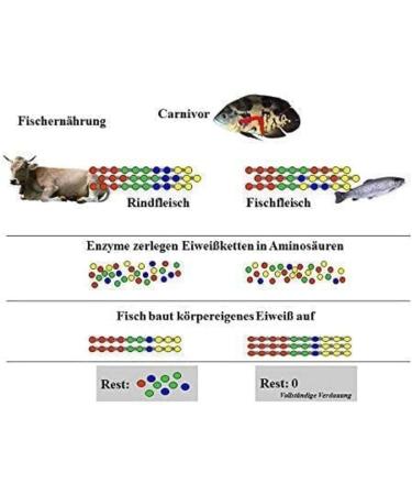 JBL NovoFil 250ml - Buy Online on GoSupps.com