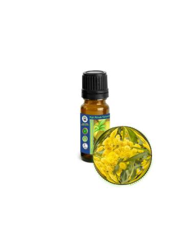 Cassie Sweet (Acacia Farnesiana) Absolute Essential Oil - Russian Mimosa (Mimoza) - Therapeutic Pure Undiluted Uncut - Aromatherapy Perfumery Cosmetics Skin Care Massage - 10ml (1/3 oz)