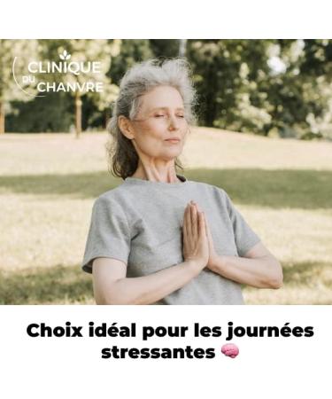 Oil 40% | Mango Flavor | Premium Quality | Made in France - 10ml - Buy Online on GoSupps.com