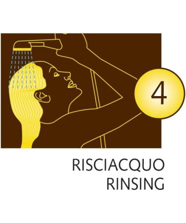  Sanotint SANOTINT Classic Colour 03 Natural Chestnut - 2 Boxes - 2 x 125ml - Buy Online on GoSupps.com