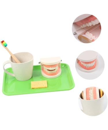 Healvian 2 Sets Early Dental Education Toys - Wooden Reusable Clean Model for Preschool Learning | International Shipping - Buy Online on GoSupps.com