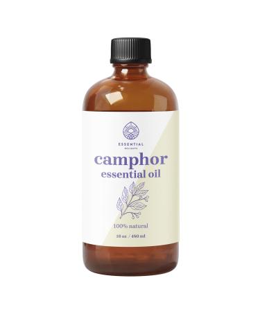 Camphor Essential Oil - Premium Grade 100% Undiluted Essential Oil (16 oz.) | for Aromatherapy Soaps Lotions & Candles | Vegan & Cruelty Free 16 Fl Oz (Pack of 1)