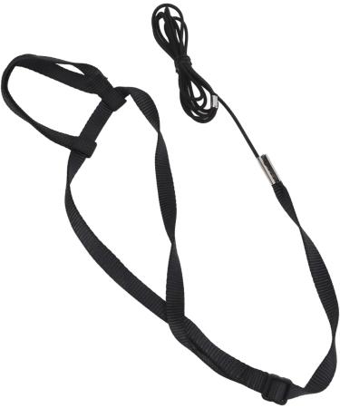 Adjustable Bird Dishes & Leash for Parrots - PAPPAGES THE FLUCHEN Perfect for Gray Cacadu - Shop Internationally! - Buy Online on GoSupps.com