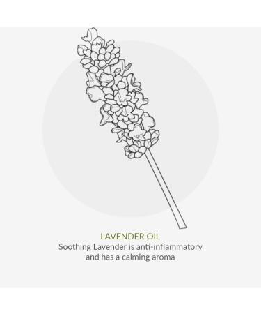 Green People Organic Babies Soothing Baby Salve 100ml - Lavender Scented, Eczema-Friendly, Paraben-Free - Buy Online on GoSupps.com