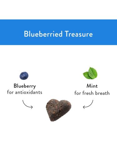 Shameless Pets Blueberried Treasure Dog Treats - Natural, Grain-Free, Upcycled Ingredients (6oz, Pack of 2) - Buy Online on GoSupps.com