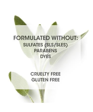 Sulfate-Free SEVEN Haircare Cubica 7-DAY Shampoo with Biotin & Green Tea Extract - Gentle, Moisturizing Formula for All Hair Types - 10.8 oz - Buy Online on GoSupps.com