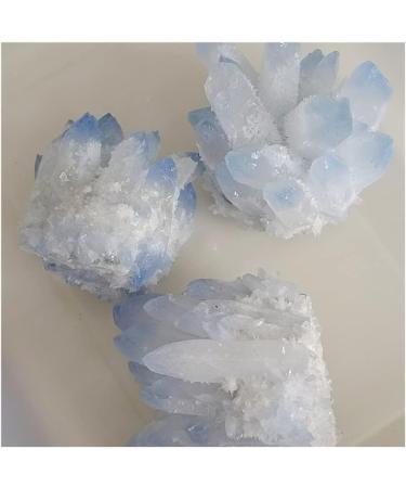 Blue Ghost Phantom Quartz Crystal Cluster Specimen kaixun (Size : 401-500g) - Buy Online on GoSupps.com
