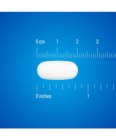 Amazon Basic Care Maximum Strength Chest Congestion and Mucus Relief Guaifenesin Extended-Release Tablets 1200 mg 42 Count 1 Pack - Buy Online on GoSupps.com