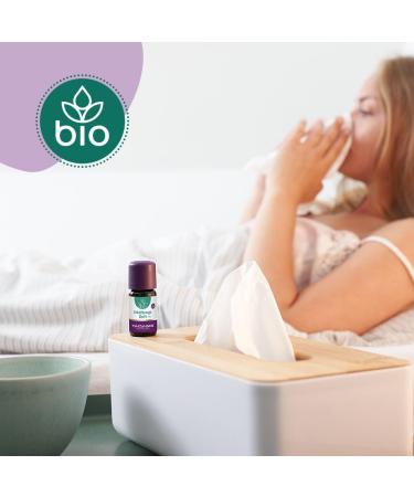 TAOASIS Cold Fragrance Set - 5ml Mild Essential Oil & Fragrance Stone | International Shipping - Buy Online on GoSupps.com