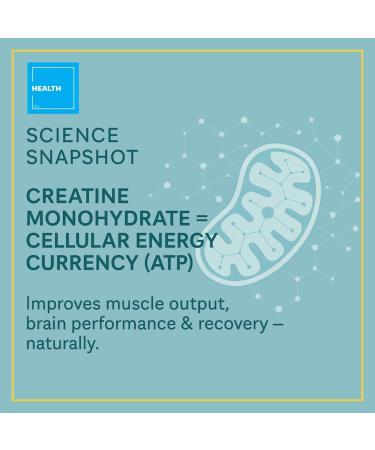 Consult Health CREOVATE CREATINE MONOHYDRATE Gummies 5g Dose for Men & Women to Support Muscle Strength Recovery Cognitive Health & Memory Zero Sugar Gluten Free Natural Lemon 90 Count - Buy Online on GoSupps.com