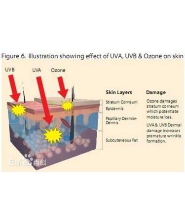 WonderLand Herbs 100% Haematococcus pluvialis supercritical Extraction Extract Astaxanthin Oil (ASTA) 10% HPLC 100 Ml (3.4 Fl oz.) The Strongest antioxidants Supplement Free Radical scavenging - Buy Online on GoSupps.com