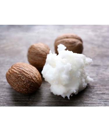  Olive Spa Moisturizing lip balm with avocado and shea butter - Buy Online on GoSupps.com