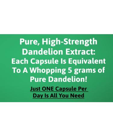 Dandelion Root Extract Capsules 500 mg 120 Capsules 3 - Buy Online on GoSupps.com