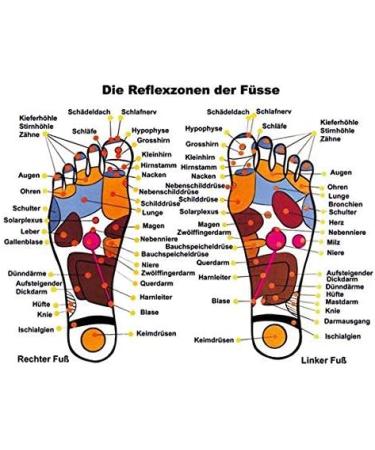 Original Wellness Acupressure Magnetic Insoles for Men & Women - Energetix 4You 3009 with Stimulation Knobs & 8 Magnets - International Shipping - Buy Online on GoSupps.com