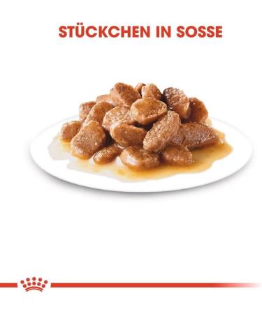 Royal Canin Mini Ageing 12+ Senior in Gravy Wet Dog Food 85g (Pack of 12) Meat 85 g (Pack of 12) - Buy Online on GoSupps.com