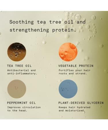 Hawthorne Men's Natural Shampoo - Sulfate & Paraben Free | Plant-Derived with Tea Tree & Peppermint Oil | Invigorating Geranium Leaf Scent | 8 fl. oz - Buy Online on GoSupps.com