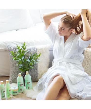  KATIVA Kativa Oil Control Kit for Oily Hair 3 x 50 ml | Contains: pre-shampoo shampoo and conditioner | Controls oily partings | Purifying Clay a blend of citrus fruits and menthol - Buy Online on GoSupps.com