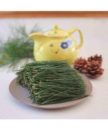 Woodlanders Artisan Organic Canadian Eastern White Pine Needle Tea (LOOSE LEAF) Fresh Loose Leaf Whole Pine Needle Tea and a Product of Canada ::: 1/2 pound (lb) / 227g / 8oz ::: woodlanders.ca 227 g (Pack of 1) - Buy Online on GoSupps.com