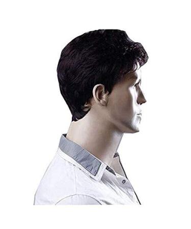 BGHJUE 10-Inch Heat Resistant Brown-Black Wig for Men - Realistic Businessmen Hair Wigs - Buy Online on GoSupps.com