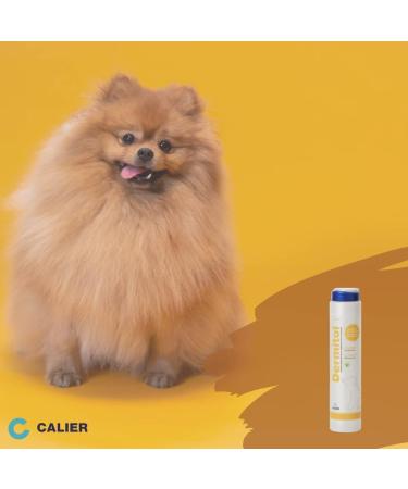  Calier Dermitol Dermatological shampoo 250 ml - Buy Online on GoSupps.com