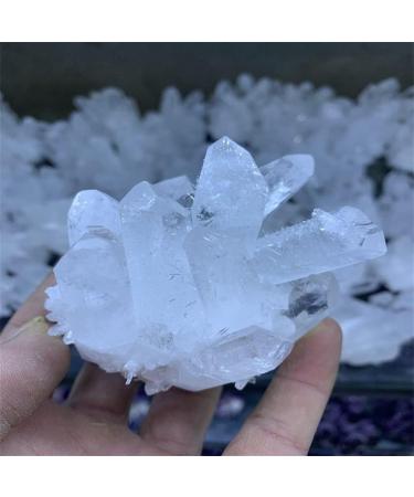 Specimen 1pcs Natural Crystal Cluster Raw Quartz White ReikiStones Crystal Point Specimen Home Decoration Ra Crystals Stone QINTINYIN Home Goods (Size : 200-300g) - Buy Online on GoSupps.com