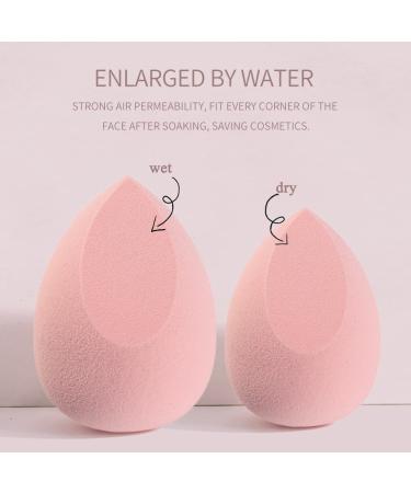 4-Pack Pink Makeup Sponges Blender Set - Flawless Foundation Applicator with Egg Case & Holder - Buy Online on GoSupps.com