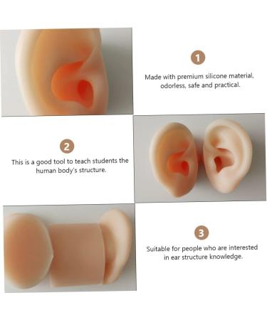 Hemoton Silicone Ear Model Set for Practice and Display | Ear Picking & Simulation Props - Buy Online on GoSupps.com