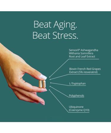 Qualia Mitochondria+ | The Most Advanced Supplement for NAD+, Cellular Energy, Metabolism & Repair for Better Aging w/35+ NAD Boosters Resveratrol & More | 160 Ct | 1 Month Supply - Buy Online on GoSupps.com