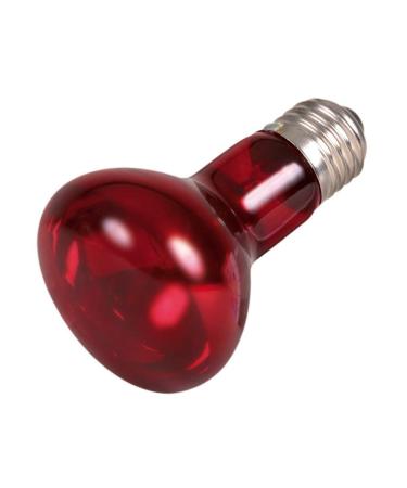 Trixie 76094 Infrared heat spot lamp 63 100 mm 35 W 35 Watt
