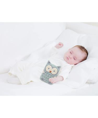 Cherry Stone Cushion for The Baby's - Cherry Pit Heatable Pillow for Babies and Kids Heat and Cold Therapy- Children Tummy Colic Pain Relief Green Owl - Buy Online on GoSupps.com