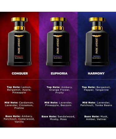 100Ml Long Lasting Perfume Spray For Men Premium Luxury Fragrance Scent Aromatic Blend Of Amber & Musk Suitable For Every Occasion - Buy Online on GoSupps.com
