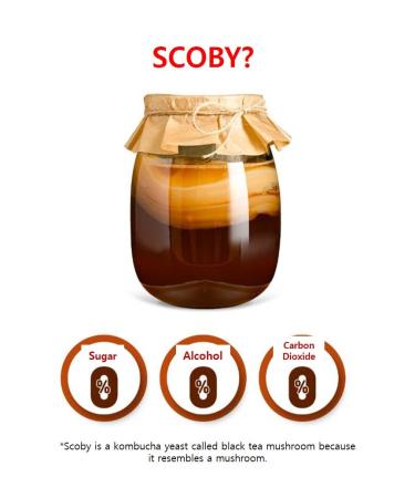 Forest M Kombucha Lemon Cherry 30 Sticks | Sparkling Probiotic Fermented Drink with Prebiotics, Black Tea Extract Powder, Scoby, and Vitamin C | Alpha-10 Prebear Lactic Acid Bacteria Blend - Buy Online on GoSupps.com