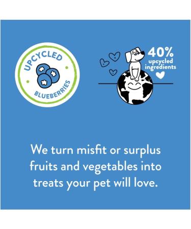 Shameless Pets Blueberried Treasure Dog Treats - Natural, Grain-Free, Upcycled Ingredients (6oz, Pack of 2) - Buy Online on GoSupps.com