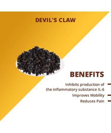 YAAJ Devil Claw 1kg | Bat Head Root | Devil Husk | Vampire Root for Puja - Buy Online on GoSupps.com