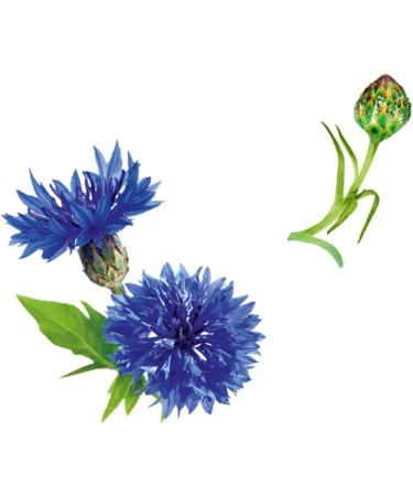 Guhl Ikebana Cosmetics BV Guhl Long Lasting Volume Shampoo With Blue Lotus For Fine Limp and Lifeless Hair 250 Milliliters - Buy Online on GoSupps.com