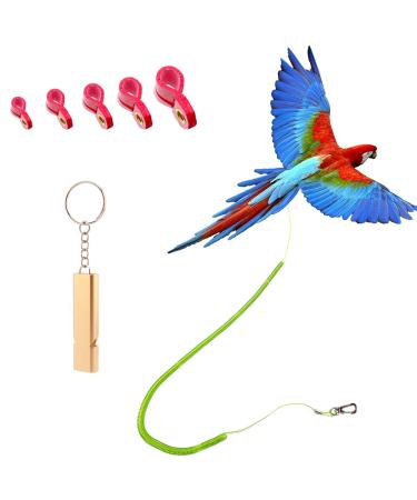 Parrot Bird Harness Leash Anti-bite Outdoor Flying Training Rope with 5pcs Different Sizes of Soft Foot Loops and Training Whistle(Upgraded Version of Ankle Ring)