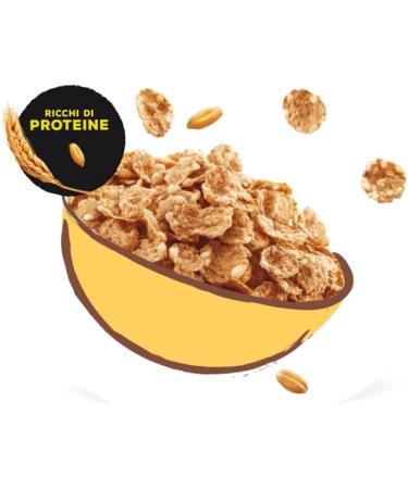  Misura Misura Protein Cereal Flakes - with whole wheat rice and oats rich in protein and fiber FSC certified paper packaging 320g pack - Buy Online on GoSupps.com