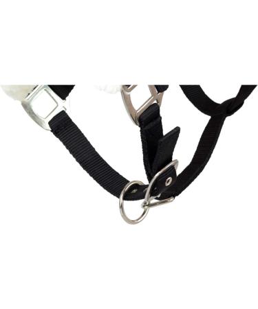 Marengos Halter Set with Lead Rope | Elegant Black/Rose Gold - Premium Thoroughbred Accessories - Buy Online on GoSupps.com