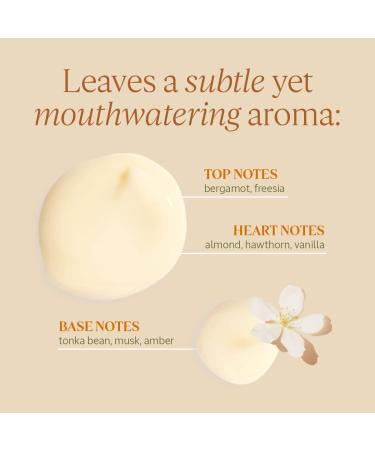 L'Occitane Almond Oil Conditioner 8.1 Fl Oz | All Hair Types - Buy Online on GoSupps.com