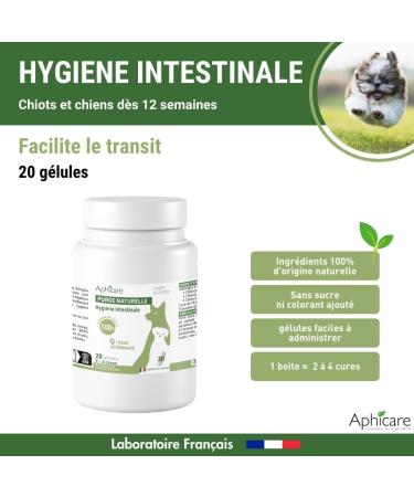 APHICARE - Intestinal hygiene - Intestinal comfort - 20 capsules - Brewer's yeast - 3 plant extracts - Food supplement - Dog and puppy - Made in France - Buy Online on GoSupps.com