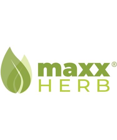 Maxx Herb Organic Nopal Cactus Powder for Healthy Digestion & Immune Support High in Dietary Fiber & Calcium Vegan Non-GMO and Gluten Free - 3 Bags 12 Oz Each - Save 15% 12 Ounce (Pack of 3) - Buy Online on GoSupps.com