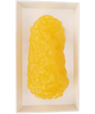 Body Fat Replica Fatty Replica Model Fat Demonstration Model with Exquisite Workmanship Simulated Appearance for Nutritionist Science Course Plastic Material - Buy Online on GoSupps.com