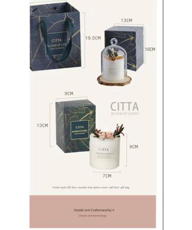 Long-Lasting Fragrance Candles | Premium Scented Candles with Essential Oils | Elegant Home Decor Gift & Meditation Aromatherapy - Buy Online on GoSupps.com