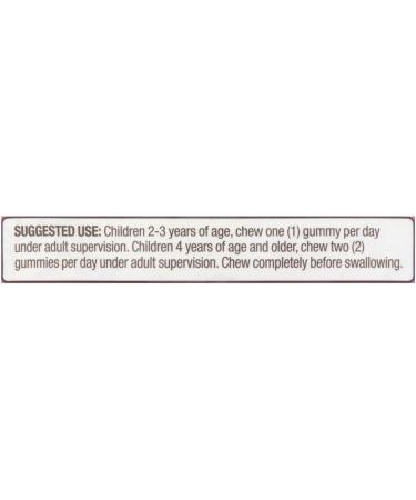 AGILIPET Equate Kids Multivitamin Gummies Complete Daily Multivitamin for Children 2+ Natural Fruit Flavor 300 Count Vegetarian Sticker - Buy Online on GoSupps.com