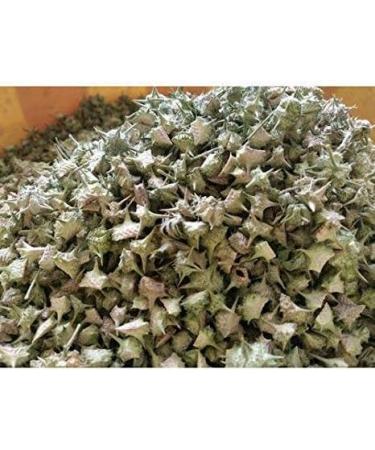 Krishna SAARA : Nerunji Mull/Gokhru/Nerinjil/Cinnapalleru/Neggilu Mullu Raw 200g (Pack of 100g x 2) - Buy Online on GoSupps.com